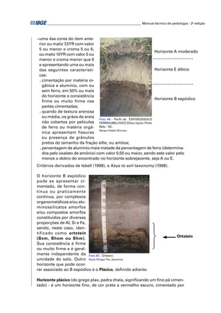________________________________________________________ Manual técnico de pedologia - 2a edição



−uma das cores do item ante-
 rior ou matiz 7,5YR com valor
 5 ou menor e croma 5 ou 6,
                                                                   Horizonte A moderado
 ou matiz 10YR com valor 5 ou
 menor e croma menor que 6
 e apresentando uma ou mais
 das seguintes característi-                                       Horizonte E álbico
 cas:
 . cimentação por matéria or-
   gânica e alumínio, com ou
   sem ferro, em 50% ou mais
   do horizonte e consistência
                                                                   Horizonte B espódico
   ﬁrme ou muito ﬁrme nas
   partes cimentadas;
 . quando de textura arenosa
   ou média, os grãos de areia
                                Foto 44 - Perfil de ESPODOSSOLO
   não cobertos por películas FERRIHUMILÚVICO Órtico típico. Porto
   de ferro ou matéria orgâ- Belo - SC.
                                Sérgio Hideiti Shimizu
   nica apresentam fissuras
   ou presença de grânulos
   pretos do tamanho da fração silte, ou ambos;
 . percentagem de alumínio mais metade da percentagem de ferro (determina-
   dos pelo oxalato de amônio) com valor 0,50 ou maior, sendo este valor pelo
   menos o dobro do encontrado no horizonte sobrejacente, seja A ou E.
Critérios derivados de Isbell (1998), e Keys to soil taxonomy (1998).

O horizonte B espódico
pode se apresentar ci-
mentado, de forma con-
tínua ou praticamente
contínua, por complexos
organometálicos e/ou alu-
minossilicatos amorfos
e/ou compostos amorfos
constituídos por diversas
proporções de Al, Si e Fe,
sendo, neste caso, iden-                                            ⎫
                                                                    ⎬
tificado como ortstein
                                                                                   Ortstein
(Bsm, Bhsm ou Bhm).
Sua consistência é ﬁrme
ou muito ﬁrme e é geral-                                            ⎭
mente independente da Foto 45 - Ortstein.
umidade do solo. Outro Paulo Klinger Tito Jacomine
horizonte que pode ocor-
rer associado ao B espódico é o Plácico, deﬁnido adiante.

Horizonte plácico (do grego plax, pedra chata, signiﬁcando um ﬁno pã cimen-
tado) - é um horizonte ﬁno, de cor preta a vermelho escuro, cimentado por
 