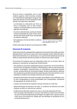 Manual técnico de pedologia __________________________________________________________________




            ferro (ou ferro e manganês), com ou sem
            matéria orgânica. Este horizonte constitui
            um impedimento a passagem da água e das
            raízes das plantas. O horizonte plácico deve
            atender aos seguintes requisitos:
            - é cimentado ou endurecido por ferro ou
              ferro e manganês, com ou sem matéria
              orgânica, acompanhados ou não de outros
              agentes cimentantes;
            - é contínuo lateralmente, exceto por fendas
              verticais espaçadas de, pelo menos 10cm,
              através das quais pode haver penetração
              do sistema radicular;
            - tem espessura mínima de 0,5cm e máxima
                                                               Foto 46 - Horizonte plácico em ARGIS-
              de 2,5cm.                                        SOLO AMARELO. Goiana – PE.

            Critério derivado de Keys to soil taxonomy (1998).

            Horizonte B incipiente
            Trata-se de horizonte subsuperﬁcial, subjacente a horizonte A, Ap ou AB, que sofreu
            alteração física e química em grau não muito avançado, porém suﬁciente para o
            desenvolvimento de cor ou de estrutura, e no qual mais da metade do volume de
            todos os suborizontes não deve consistir em estrutura da rocha original.

            O horizonte B incipiente para ser diagnóstico deve ter no mínimo 10cm de
            espessura e apresentar as seguintes características:
            - não satisfaz os requisitos estabelecidos para caracterizar um horizonte B tex-
              tural, B nítico, B espódico, B plânico e B latossólico, além de não apresentar
              também cimentação, endurecimento ou consistência quebradiça quando
              úmido, características de horizontes fragipã, duripã e petrocálcico; ademais
              não apresenta quantidade de plintita requerida para horizonte plíntico e nem
              expressiva evidência de redução distintiva de horizonte glei;
            - apresenta dominância de cores brunadas, amareladas e avermelhadas, com
              ou sem mosqueados ou cores acinzentadas com mosqueados, resultantes
              da segregação de óxidos de ferro;
            - a textura do horizonte B incipiente é franco-arenosa ou mais ﬁna;
            - desenvolvimento de estrutura do solo, ou ausência da estrutura da rocha
              original, em 50% ou mais do seu volume;
            - evidências de alteração através de uma ou mais das seguintes formas:
              • teor de argila mais elevado ou cromas mais fortes ou matiz mais vermelho

                do que o horizonte subjacente; percentagem de argila menor, igual ou pouco
                maior que a do horizonte A, desde que não satisfaça os requisitos de um
                horizonte B textural; e
 