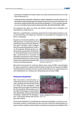 Manual técnico de pedologia __________________________________________________________________



            - coloração variegada com pelo menos uma das cores de acordo com um dos
              ítens anteriores; ou

            - presença de ferro reduzido, indicada em testes realizados no campo, pela cor de-
              senvolvida mediante aplicação de indicadores químicos: como por exemplo a cor
              azul-escuro desenvolvida pelo ferricianeto de potássio a 1% em solução aquosa,
              ou a cor vermelha intensa desenvolvida pelo alfa, alfa dipiridil (Childs, 1981).

            Em qualquer dos casos, as cores não sofrem variação com a secagem, por
            exposição do material ao ar.

            Ademais, é signiﬁcativa a presença ocasional de mosqueados pretos ou pre-
            to-avermelhados, formados por nódulos ou concreções de manganês ou de
            ferro e manganês.

            Quando um horizonte satisﬁzer, coin-
            cidentemente, os requisitos para ser
            identiﬁcado como horizonte diagnós-
            tico glei e também como qualquer
            dos horizontes diagnósticos: sulfúri-
            co, B incipiente, B textural (sem mu-
            dança textural abrupta) e B latossóli-
            co, será identiﬁcado como horizonte
            glei, atribuindo-se à condição de
            gleização importância mais decisiva
            para identiﬁcação de horizonte diag-
                                                       Foto 54 - Horizonte glei em perﬁl de GLEISSOLO
            nóstico que aos demais atributos que       HÁPLICO Tb Distróﬁco plíntico. Brasília – DF.
            ocorram simultaneamente.                   Eduardo Guimarães Couto


            Derivado de horizonte G, conforme Soil survey manual (1951), parcialmente
            de gleyic properties, conforme World reference base for soil resources (1998),
            e parcialmente de cambic horizon, conforme Soil taxonomy: a basic system of
            soil classiﬁcation for making and interpreting soil surveys (1999).


            Horizonte litoplíntico
            São horizontes normalmente ca-
            racterísticos de zonas tropicais do pla-
            neta, podendo ser encontrados tanto
            em solos de boa drenagem, onde
            quase sempre se tratam de resquícios
            de clima pretérito diferenciado, como
            em solos de drenagem restrita (baixa-
            das, depressões, terraços, planícies de
                                                       Foto 55 - Horizonte litoplíntico em perﬁl de LA-
            inundação, cabeceiras de drenagem,         TOSSOLO VERMELHO Distróﬁco petroplíntico.
            etc.), onde quase sempre têm forma-        Edéia - GO .
            ção mais recente.

            O horizonte litoplíntico é constituído de material consolidado, contínuo ou pra-
            ticamente contínuo, endurecido por ferro ou ferro e alumínio (petroplintita), no
            qual o carbono orgânico está ausente ou presente em pequena quantidade. Este
 