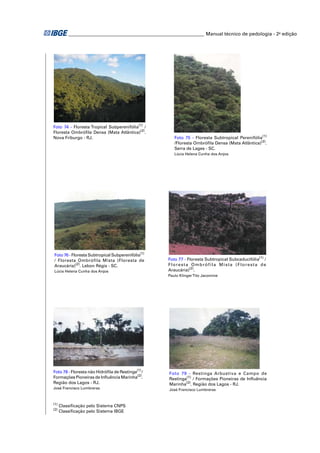 ________________________________________________________ Manual técnico de pedologia - 2a edição




Foto 74 - Floresta Tropical Subperenifólia(1) /
Floresta Ombróﬁla Densa (Mata Atlântica)(2).
Nova Friburgo - RJ.                                   Foto 75 - Floresta Subtropical Perenifólia(1)
                                                      /Floresta Ombróﬁla Densa (Mata Atlântica)(2).
                                                      Serra de Lages - SC.
                                                      Lúcia Helena Cunha dos Anjos




Foto 76 - Floresta Subtropical Subperenifólia(1)
/ Floresta Ombrófila Mista (Floresta de            Foto 77 - Floresta Subtropical Subcaducifólia(1) /
Araucária)(2). Lebon Régis - SC.                   Floresta Ombrófila Mista (Floresta de
Lúcia Helena Cunha dos Anjos                       Araucária)(2).
                                                   Paulo Klinger Tito Jacomine




Foto 78 - Floresta não Hidróﬁla de Restinga(1) /    Foto 79 - Restinga Arbustiva e Campo de
Formações Pioneiras de Inﬂuência Marinha(2).        Restinga(1) / Formações Pioneiras de Inﬂuência
Região dos Lagos - RJ.                              Marinha(2). Região dos Lagos - RJ.
José Francisco Lumbreras                            José Francisco Lumbreras


(1)
      Classiﬁcação pelo Sistema CNPS
(2)
      Classiﬁcação pelo Sistema IBGE
 