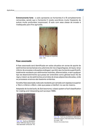 Apêndices ____________________________________________________________________________________




            Extremamente forte - o solo apresenta os horizontes A e B completamente
            removidos, sendo que o horizonte C revela ocorrência muito freqüente de
            sulcos muito profundos (voçorocas). O solo com essa classe de erosão é
            inadequado para ﬁns agrícolas.




                                              Foto 134 - Erosão em voçoroca.
                                              Jataí - GO.

            Fase assoreada

            A fase assoreada será identiﬁcada em solos situados em zonas de aporte de
            sedimentos (zonas baixas e/ou planícies de rios e lagos/lagoas, terraços, terço
            inferior de encostas e situações análogas), que têm seu horizonte superﬁcial A,
            totalmente recoberto por sedimentos recentes, diferenciados, e sem qualquer
            tipo de desenvolvimento que possa ser entendido como gênese local. Via de
            regra, tratam-se de sedimentos provindos de áreas adjacentes elevadas, onde
            os processos erosivos são bastante evidentes.

            Constitui fase assoreada, todo solo recoberto por camada com espessura superior
            a 10cm e inferior a 50cm, visto que passa a interferir no uso do mesmo.

            Adaptado de buried soils, de Soil taxonomy: a basic system of soil classiﬁcation
            for making and interpreting soil surveys (1999).




                                                                     Foto 136 - Perﬁl de GLEISSOLO HÁPLICO Tb
                                                                     Distróﬁco plíntico, fase assoreada. Primavera
                                                                     do Leste – MT.
             Foto 135 - Perﬁl de ORGANOS-                            Eduardo Guimarães Couto
             SOLO HÁPLICO Sáprico típico,
             fase assoreada. Campo Erê - SC
 