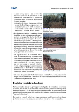 ________________________________________________________ Manual técnico de pedologia - 2a edição



- Áreas com presença de pavimento
 desértico (camada de cascalhos ou de
 pedras que permanecem na superfície
 do terreno após a remoção do material
 ﬁno por erosão):
  • Indicativo de climas atuais ou pretéritos

    secos. No Brasil é presença comum em
    solos da região semi-árida nordestina,
    tais como Luvissolos Crômicos e              Foto 152 – Aspecto de pavimento desértico.
                                                 Cabrobó – PE.
    Neossolos Litólicos, dentre outros.          Sérgio Hideiti Shimizu

- Em áreas de solos com elevados teores
  de sódio, os barrancos de estrada, apre-
  sentam certas peculiaridades, devido ao
  tipo de estrutura característico do seu ho-
  rizonte B (do tipo colunar). A drenagem di-
  ferenciada entre os horizontes superﬁciais
  e subsuperﬁciais dos mesmos, condiciona
  a perda do horizonte superﬁcial por erosão
  diferencial, expondo o topo das estruturas     Foto 153 - Aspecto de barranco em área de
  prismáticas colunares, dando-lhes então        PLANOSSOLO NÁTRICO.
  uma aparência característica.                  Pantanal “Chaquenho”


- Em algumas áreas de solos com B tex-
  tural de textura argilosa, com estrutura
  bem desenvolvida em blocos e/ou pris-
  mática e considerável diferença textural
  para o horizonte A, é comum a ocorrên-
  cia em barrancos de estrada relativa-
  mente antigos, de pequenas saliências no
  perﬁl do solo, na altura do(s) horizonte(s)
  superﬁcial (is), denominadas por alguns
                                                Foto 154 - Ombreira. Tarauacá - AC.
  pedólogos como “ombreiras”     .

- Em áreas alagadas, sobretudo litorâneas, o odor de “ovo podre” proveniente
                                                                   ,
  de gás sulfídrico liberado, é indicativo de presença de solos com tiomorﬁsmo
  (Gleissolos, Organossolos, etc.).


Espécies vegetais indicadoras
Particularidades de solos, principalmente ligadas à umidade e condições
químicas, são muitas vezes indicadas pela ocorrência preferencial de algumas
espécies vegetais e, que, em razão disto, são elementos de grande apoio nos
trabalhos de mapeamento. Tais espécies têm sido, comumente, denominadas
“plantas indicadoras” .

Os quadros a seguir relacionam algumas dessas espécies, mencionando-se
juntamente os ambientes ou características dos solos a elas associados.
 