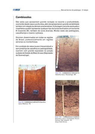 ________________________________________________________ Manual técnico de pedologia - 2a edição




Cambissolos
São solos que apresentam grande variação no tocante a profundidade,
ocorrendo desde rasos a profundos, além de apresentarem grande variabilidade
também em relação às demais características. A drenagem varia de acentuada a
imperfeita e podem apresentar qualquer tipo de horizonte A sobre um horizonte
B incipiente (Bi), também de cores diversas. Muitas vezes são pedregosos,
cascalhentos e mesmo rochosos.

Ocorrem disseminados em todas as regiões
do Brasil, preferencialmente em regiões
serranas ou montanhosas.

Em condição de relevo suave (mecanizável) e
sem presença de cascalhos ou pedregosidade,
ocorrem com grande expressão na porção
sudeste do Estado de Mato Grosso (Depressão
de Paranatinga).




                                                      Foto 172 - CAMBISSOLO HÁPLICO Tb
                                                      Distróﬁco típico. Paranatinga - MT.




   Foto 173 – CAMBISSOLO HÁPLICOTb Distróﬁco
   típico. Mateiros - TO.




                                                      Foto 174 – CAMBISSOLO HÚMICO
                                                      Distrófico típico (Cambissolo Bruno
                                                      Húmico). São Joaquim - SC.
                                                      Sérgio Hideiti Shimizu
 