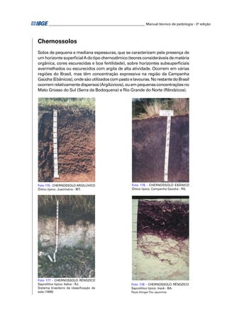 ________________________________________________________ Manual técnico de pedologia - 2a edição




Chernossolos
Solos de pequena e mediana espessuras, que se caracterizam pela presença de
um horizonte superﬁcial A do tipo chernozêmico (teores consideráveis de matéria
orgânica, cores escurecidas e boa fertilidade), sobre horizontes subsuperﬁciais
avermelhados ou escurecidos com argila de alta atividade. Ocorrem em várias
regiões do Brasil, mas têm concentração expressiva na região da Campanha
Gaúcha (Ebânicos), onde são utilizados com pasto e lavouras. No restante do Brasil
ocorrem relativamente dispersos (Argilúvicos), ou em pequenas concentrações no
Mato Grosso do Sul (Serra da Bodoquena) e Rio Grande do Norte (Rêndzicos).




Foto 175 - CHERNOSSOLO ARGILÚVICO                      Foto 176 - CHERNOSSOLO EBÂNICO
Órtico típico. Juscimeira - MT.                        Órtico típico. Campanha Gaúcha - RS.




Foto 177 - CHERNOSSOLO RÊNDZICO
Saprolítico típico. Italva - RJ.                       Foto 178 - CHERNOSSOLO RÊNDZICO
Sistema brasileiro de classiﬁcação de                  Saprolítico típico. Irecê - BA.
solo (1999)                                            Paulo Klinger Tito Jacomine
 