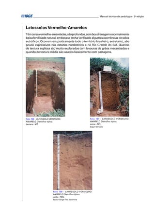________________________________________________________ Manual técnico de pedologia - 2a edição




Latossolos Vermelho-Amarelos
Têm cores vermelho-amareladas, são profundos, com boa drenagem e normalmente
baixa fertilidade natural, embora se tenha veriﬁcado algumas ocorrências de solos
eutróﬁcos. Ocorrem em praticamente todo o território brasileiro, entretanto, são
pouco expressivos nos estados nordestinos e no Rio Grande do Sul. Quando
de textura argilosa são muito explorados com lavouras de grãos mecanizadas e
quando de textura média são usados basicamente com pastagens.




Foto 196 - LATOSSOLO VERMELHO-                         Foto 197 - LATOSSOLO VERMELHO-
AMARELO Distróﬁco típico.                              AMARELO Distróﬁco típico.
Jaciara - MT.                                          Juína - MT.
                                                       Edgar Shinzato




                       Foto 198 - LATOSSOLO VERMELHO-
                       AMARELO Distróﬁco típico.
                       Jaíba - MG.
                       Paulo Klinger Tito Jacomine
 
