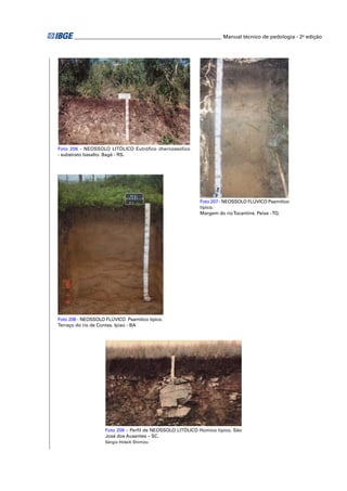 ________________________________________________________ Manual técnico de pedologia - 2a edição




Foto 206 - NEOSSOLO LITÓLICO Eutróﬁco chernossólico
- substrato basalto. Bagé - RS.




                                                          Foto 207 - NEOSSOLO FLÚVICO Psamítico
                                                          típico.
                                                          Margem do rio Tocantins. Peixe - TO.




Foto 208 - NEOSSOLO FLÚVICO Psamítico típico.
Terraço do rio de Contas. Ipiaú - BA




                    Foto 209 – Perﬁl de NEOSSOLO LITÓLICO Húmico típico. São
                    José dos Ausentes – SC.
                    Sérgio Hideiti Shimizu
 