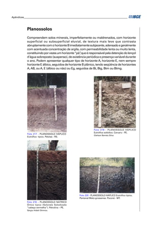 Apêndices ____________________________________________________________________________________




            Planossolos
            Compreendem solos minerais, imperfeitamente ou maldrenados, com horizonte
            superficial ou subsuperficial eluvial, de textura mais leve que contrasta
            abruptamente com o horizonte B imediatamente subjacente, adensado e geralmente
            com acentuada concentração de argila, com permeabilidade lenta ou muito lenta,
            constituindo por vezes um horizonte “pã”que é responsável pela detenção do lençol
                                                    ,
            d’água sobreposto (suspenso), de existência periódica e presença variável durante
            o ano. Podem apresentar qualquer tipo de horizonte A, horizonte E, nem sempre
            horizonte E álbico, seguidos de horizonte B plânico, tendo seqüência de horizontes
            A, AB, ou A, E (álbico ou não) ou Eg, seguidos de Bt, Btg, Btm ou Btmg.




                                                                   Foto 218 - PLANOSSOLO HÁPLICO
                                                                   Eutróﬁco solódico. Caruaru - PE.
            Foto 217 - PLANOSSOLO HÁPLICO
                                                                   Glailson Barreto Silva
            Eutróﬁco típico. Pelotas - RS.




                                                       Foto 220 - PLANOSSOLO HÁPLICO Eutróﬁco típico.
                                                       Pantanal Mato-grossense. Poconé - MT.
            Foto 219 – PLANOSSOLO NÁTRICO
            Órtico típico (Solonetz Solodizado
            “cabeça vermelha”). Petrolina – PE.
            Sérgio Hideiti Shimizu
 