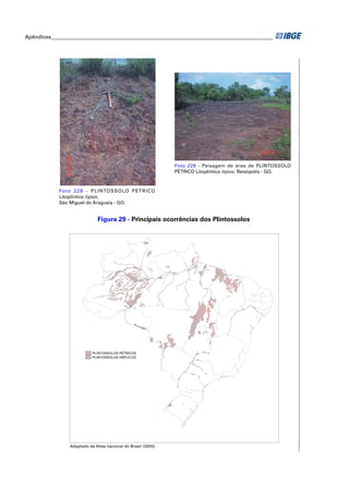 Apêndices ____________________________________________________________________________________




                                                                Foto 229 - Paisagem de área de PLINTOSSOLO
                                                                PÉTRICO Litoplíntico típico. Reisópolis - GO.



            Fo t o 2 2 8 - P L I NTO S S O LO P É T R I C O
            Litoplíntico típico.
            São Miguel do Araguaia - GO.


                               Figura 29 - Principais ocorrências dos Plintossolos




                            PLINTOSSOLOS PÉTRICOS
                            PLINTOSSOLOS HÁPLICOS




                 Adaptado de Atlas nacional do Brasil (2000).
 