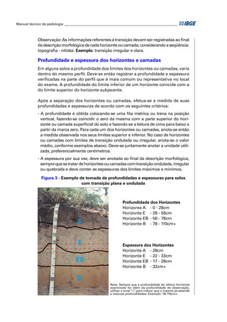Manual técnico de pedologia __________________________________________________________________



            Observação: As informações referentes à transição devem ser registradas ao ﬁnal
            da descrição morfológica de cada horizonte ou camada, considerando a seqüência:
            topograﬁa - nitidez. Exemplo: transição irregular e clara.

            Profundidade e espessura dos horizontes e camadas
            Em alguns solos a profundidade dos limites dos horizontes ou camadas, varia
            dentro do mesmo perﬁl. Deve-se então registrar a profundidade e espessura
            veriﬁcadas na parte do perﬁl que é mais comum ou representativa no local
            do exame. A profundidade do limite inferior de um horizonte coincide com a
            do limite superior do horizonte subjacente.

            Após a separação dos horizontes ou camadas, efetua-se a medida de suas
            profundidades e espessuras de acordo com os seguintes critérios:
            - A profundidade é obtida colocando-se uma ﬁta métrica ou trena na posição
              vertical, fazendo-se coincidir o zero da mesma com a parte superior do hori-
              zonte ou camada superﬁcial do solo e fazendo-se a leitura de cima para baixo a
              partir da marca zero. Para cada um dos horizontes ou camadas, anota-se então
              a medida observada nos seus limites superior e inferior. No caso de horizontes
              ou camadas com limites de transição ondulada ou irregular, anota-se o valor
              médio, conforme exemplos abaixo. Deve-se juntamente anotar a unidade utili-
              zada, preferencialmente centímetros.
            - A espessura por sua vez, deve ser anotada ao ﬁnal da descrição morfológica,
              sempre que se tratar de horizontes ou camadas com transição ondulada, irregular
              ou quebrada e deve conter as espessuras dos limites máximos e mínimos.

              Figura 3 - Exemplo de tomada de profundidades e espessuras para solos
                                  com transição plana e ondulada



                                                              Profundidade dos Horizontes
                                                              Horizonte A - 0 - 28cm
                                                              Horizonte E - 28 - 56cm
                                                              Horizonte EB - 56 - 78cm
                                   A                          Horizonte B - 78 - 110cm+



                                   E                          Espessura dos Horizontes
                                                              Horizonte A - 28cm
                                                              Horizonte E - 22 - 33cm
                                  EB                          Horizonte EB - 17 - 28cm
                                                              Horizonte B - 32cm+

                                   B
                                                      Nota: Sempre que a profundidade do último horizonte
                                                      examinado for além da profundidade de observação,
                                                      utilizar o sinal “+” para indicar que o mesmo se estende
                                                                         ,
                                                      a maiores profundidades. Exemplo: 78-110cm+.
 
