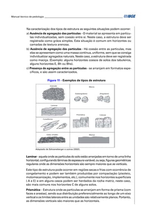 Manual técnico de pedologia __________________________________________________________________




            Na caracterização dos tipos de estrutura as seguintes situações podem ocorrer:
            a) Ausência de agregação das partículas - O material se apresenta em partícu-
               las individualizadas, sem coesão entre si. Neste caso, a estrutura deve ser
               registrada como grãos simples. Esta situação é comum em horizontes ou
               camadas de textura arenosa.
            b) Ausência de agregação das partículas - Há coesão entre as partículas, mas
               elas se apresentam como uma massa contínua, uniforme, sem que se consiga
               individualizar agregados naturais. Neste caso, a estrutura deve ser registrada
               como maciça. (Exemplo: alguns horizontes coesos de solos dos tabuleiros,
               alguns horizontes E, Bh ou Bhs).
            c) Presença de agregação entre as partículas - se arranjam em formatos espe-
               cíﬁcos, e são assim caracterizados.

                               Figura 11 - Exemplos de tipos de estrutura
                                  Granular
                                                                          Blocos



                                                         (Subangulares)            (Angulares)




                                   Laminar




                                                          Prismática               Colunar

                           Cuneiforme




                              Grãos simples                               Maciça




                    Adaptado de Schoeneberger e outros (2002).


            Laminar - aquela onde as partículas do solo estão arranjadas em torno de uma linha
            horizontal, conﬁgurando lâminas de espessura variável, ou seja, ﬁguras geométricas
            regulares onde as dimensões horizontais são sempre maiores que as verticais.
            Este tipo de estrutura pode ocorrer em regiões secas e frias com ocorrência de
            congelamento e podem ser também produzidas por compactação (pisoteio,
            motomecanização, implementos, etc.), comumente nos horizontes superﬁciais
            ( A e E) e em alguns casos podem ser herdados da rocha matriz, neste caso,
            são mais comuns nos horizontes C de alguns solos.
            Prismática - Estrutura onde as partículas se arranjam em forma de prisma (com
            faces e arestas), sendo sua distribuição preferencialmente ao longo de um eixo
            vertical e os limites laterais entre as unidades são relativamente planos. Portanto,
            as dimensões verticais são maiores que as horizontais.
 