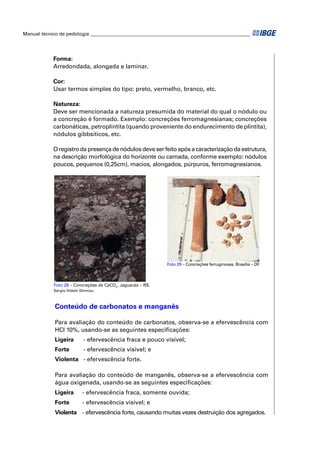 Manual técnico de pedologia __________________________________________________________________




            Forma:
            Arredondada, alongada e laminar.

            Cor:
            Usar termos simples do tipo: preto, vermelho, branco, etc.

            Natureza:
            Deve ser mencionada a natureza presumida do material do qual o nódulo ou
            a concreção é formado. Exemplo: concreções ferromagnesianas; concreções
            carbonáticas, petroplintita (quando proveniente do endurecimento de plintita),
            nódulos gibbsíticos, etc.

            O registro da presença de nódulos deve ser feito após a caracterização da estrutura,
            na descrição morfológica do horizonte ou camada, conforme exemplo: nódulos
            poucos, pequenos (0,25cm), macios, alongados, púrpuros, ferromagnesianos.




                                                            Foto 29 – Concreções ferruginosas. Brasília – DF.



            Foto 28 – Concreções de CaCO3. Jaguarão – RS.
            Sérgio Hideiti Shimizu



             Conteúdo de carbonatos e manganês

             Para avaliação do conteúdo de carbonatos, observa-se a efervescência com
             HCl 10%, usando-se as seguintes especiﬁcações:
             Ligeira        - efervescência fraca e pouco visível;
             Forte          - efervescência visível; e
             Violenta - efervescência forte.

             Para avaliação do conteúdo de manganês, observa-se a efervescência com
             água oxigenada, usando-se as seguintes especiﬁcações:
             Ligeira       - efervescência fraca, somente ouvida;
             Forte         - efervescência visível; e
             Violenta - efervescência forte, causando muitas vezes destruição dos agregados.
 
