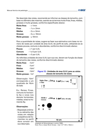 Manual técnico de pedologia __________________________________________________________________




            Na descrição das raízes, recomenda-se informar as classes de tamanho, com
            base no diâmetro das mesmas, usando-se os termos muito ﬁnas, ﬁnas, médias,
            grossas e muito grossas, conforme especiﬁcado abaixo:
            Muito ﬁnas        - < 1mm
            Finas             - 1 a < 2mm
            Médias            - 2 a < 5mm
            Grossas           - 5 a < 10mm
            Muito grossas - > 10mm

            Para a quantidade de raízes, sugere-se fazer sua estimativa com base no nú-
            mero de raízes por unidade de área (U.A.) do perﬁl do solo, utilizando-se as
            classes poucas, comuns e abundantes, conforme discriminado abaixo:
            Poucas          - < 1 por U.A.
            Comuns          - 1 a 5 por U.A.
            Abundantes - > 5 por U.A.
            As referidas unidades de área (U.A.) por sua vez, devem ser função da classe
            de tamanho das raízes, conforme discriminado abaixo:
            Muito ﬁnas       -1cm2
            Finas            -1cm2
            Médias           -1dm2
            Grossas          -1dm2        Figura 13 - Unidades de área (U.A.) para as várias
            Muito grossas - 1m    2                 classes de tamanho de raízes

            Observação: 1dm 2
            corresponde a um
            quadrado de 10cm
            de lado

            Ex.: Raízes: Finas,
            comuns no horizon-
            te Ap e raras nos
            demais horizontes;
            médias, raras no ho-
            rizonte Ap.

            Observações:
            - Disposição anôma-
              la ou estranha das
              raízes em relação
              à seqüência de ho-
              rizontes no perfil
              deve constar em
                                      Adaptado de Schoeneberger e outros (1998).
              sua descrição.
                                      Nota: Para a classe Muito Grossa - Usar 1m2 (100 x 100cm.)
 