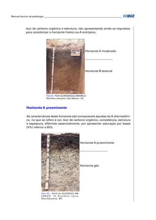 Manual técnico de pedologia __________________________________________________________________




            teor de carbono orgânico e estrutura, não apresentando ainda os requisitos
            para caracterizar o horizonte hístico ou A antrópico.




                                                                 Horizonte A moderado




                                                                 Horizonte B textural




                             Foto 41 - Perﬁl de ARGISSOLO AMARELO
                             Distróﬁco abrúptico. São Mateus - ES.



            Horizonte A proeminente

            As características deste horizonte são comparáveis àquelas do A chernozêmi-
            co, no que se refere à cor, teor de carbono orgânico, consistência, estrutura
            e espessura, diferindo essencialmente, por apresentar saturação por bases
            (V%) inferior a 65%.




                                                             Horizonte A proeminente




                                                             Horizonte glei




                         Foto 42 - Perfil de GLEISSOLO ME-
                         LÂNICO Tb Distrófico típico.
                         Nova Xavantina - MT.
 