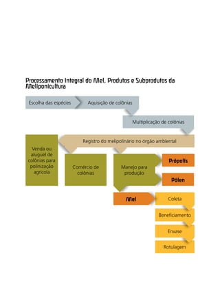 Rotulagem
Envase
Beneﬁciamento
Coleta
Venda ou
aluguel de
colônias para
polinização
agrícola
Registro do melipolinário no órgão ambiental
Multiplicação de colônias
Processamento Integral do Mel, Produtos e Subprodutos da
Meliponicultura
Manejo para
produção
Própolis
Pólen
Mel
Aquisição de colônias
Comércio de
colônias
Escolha das espécies
 