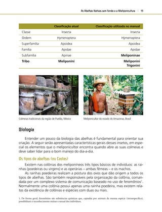 As Abelhas Nativas sem Ferrão e a Meliponicultura 13
Classiﬁcação atual Classiﬁcação utilizada no manual
Classe Insecta Insecta
Ordem Hymenoptera Hymenoptera
Superfamília Apoidea Apoidea
Família Apidae Apidae
Subfamília Apinae Meliponinae
Tribo Meliponini Meliponini
Trigonini
Colmeias tradicionais da região de Puebla, México Meliponicultor do estado do Amazonas, Brasil
Biologia
Entender um pouco da biologia das abelhas é fundamental para orientar sua
criação. A seguir serão apresentadas características gerais desses insetos, em espe-
cial os elementos que o meliponicultor encontra quando abre as suas colmeias e
deve saber lidar para o bom manejo do dia-a-dia.
Os tipos de abelhas (ou Castas)
Existem nas colônias dos meliponíneos três tipos básicos de indivíduos: as rai-
nhas (poedeiras ou virgens) e as operárias – ambas fêmeas – e os machos.
As rainhas poedeiras realizam a postura dos ovos que dão origem a todos os
tipos de abelhas. São também responsáveis pela organização da colônia, coman-
dada por um complexo sistema de comunicação baseado no uso de feromônios1
.
Normalmente uma colônia possui apenas uma rainha poedeira, mas existem rela-
tos da existência de colônias e espécies com duas ou mais.
1. De forma geral, feromônios são substâncias químicas que, captadas por animais da mesma espécie (intraespecíﬁca),
possibilitam o reconhecimento mútuo e sexual dos indivíduos.
 