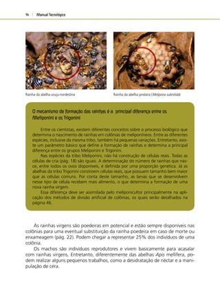 Manual Tecnológico14
O mecanismo de formação das rainhas é a principal diferença entre os
Meliponini e os Trigonini
Entre os cientistas, existem diferentes conceitos sobre o processo biológico que
determina o nascimento de rainhas em colônias de meliponíneos. Entre as diferentes
espécies, inclusive da mesma tribo, também há pequenas variações. Entretanto, exis-
te um parâmetro básico que deﬁne a formação de rainhas e determina a principal
diferença entre os grupos Meliponini e Trigonini.
Nas espécies da tribo Meliponini, não há construção de células reais. Todas as
células de cria (pág. 18) são iguais. A determinação do número de rainhas que nas-
ce, entre todos os ovos disponíveis, é deﬁnida por uma proporção genética. Já as
abelhas da tribo Trigonini constroem células reais, que possuem tamanho bem maior
que as células comuns. Por conta deste tamanho, as larvas que se desenvolvem
nesse tipo de célula recebem mais alimento, o que determina a formação de uma
nova rainha virgem.
Essa diferença deve ser assimilada pelo meliponicultor principalmente na apli-
cação dos métodos de divisão artiﬁcial de colônias, os quais serão detalhados na
página 46.
As rainhas virgens são poedeiras em potencial e estão sempre disponíveis nas
colônias para uma eventual substituição da rainha poedeira em caso de morte ou
enxameagem (pág. 22). Podem chegar a representar 25% dos indivíduos de uma
colônia.
Os machos são indivíduos reprodutores e vivem basicamente para acasalar
com rainhas virgens. Entretanto, diferentemente das abelhas Apis mellifera, po-
dem realizar alguns pequenos trabalhos, como a desidratação de néctar e a mani-
pulação de cera.
Rainha da abelha uruçu-nordestina Rainha da abelha jandaíra (Melipona subnitida)
 