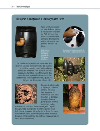 Manual Tecnológico32
Dicas para a confecção e utilização das iscas
Fazer um furo circular
na lateral do recipiente
e instalar um cotovelo
de PVC (22mm) que
servirá como entrada.
Lembrar de instalá-lo
virado para cima para
evitar a entrada de
água.
Visão interna
da isca com
detalhe do
cotovelo de
PVC virado
para cima
Os ninhos-iscas podem ser instalados em
diversos lugares, como em cima de árvores
ou no alpendre das casas. A instalação
em locais acessíveis, em especial alturas
acessíveis, facilita o monitoramento das
iscas durante o período de captura. Dar
preferência a locais sombreados, que não
tomem sol direto das 10h às 15h.
Depois de observada
a instalação de uma
colônia na caixa-
isca, aguarde no
mínimo 30 dias para
transferi-la de local,
tempo suﬁciente
para que as abelhas
cumpram todas
as etapas do processo de enxameagem. Depois
de capturada, transportar a colônia para o local
deﬁnitivo e proceder a transferência do ninho para
o modelo de caixa escolhido (dicas sobre modelos
de caixas e transferência de colônias nas páginas 33
e 44, respectivamente).
Impregnar a isca com própolis de
ASF facilita a captura de enxames
 
