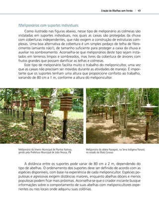 Criação de Abelhas sem Ferrão 43
Meliponários com suportes individuais
Como ilustrado nas ﬁguras abaixo, nesse tipo de meliponário as colmeias são
instaladas em suportes individuais, nos quais as caixas são protegidas da chuva
com coberturas independentes, que não exigem a construção de estruturas com-
plexas. Uma boa alternativa de cobertura é um simples pedaço de telha de ﬁbro-
cimento (amianto não!), de tamanho suﬁciente para proteger a caixa da chuva e
auxiliar no sombreamento. Aconselha-se que meliponários deste tipo sejam insta-
lados em terrenos limpos e sombreados, mas livres da cobertura de árvores com
frutos grandes que possam daniﬁcar as telhas e colmeias.
Este tipo de meliponário facilita muito o trabalho do meliponicultor, uma vez
que as caixas não precisam ser movidas durante as atividades de manejo. É impor-
tante que os suportes tenham uma altura que proporcione conforto ao trabalho,
variando de 80 cm a 1 m, conforme a altura do meliponicultor.
Meliponário do Viveiro Municipal de Plantas Nativas,
gerido pela Prefeitura Municipal de João Pessoa, PB
Meliponário da aldeia Nasepoti, na Terra Indígena Panará,
no estado do Mato Grosso
A distância entre os suportes pode variar de 80 cm a 2 m, dependendo do
tipo de abelhas. O ordenamento dos suportes deve ser deﬁnido de acordo com as
espécies disponíveis, com base na experiência de cada meliponicultor. Espécies po-
pulosas e agressivas exigem distâncias maiores, enquanto abelhas dóceis e menos
populosas podem ﬁcar mais próximas. Aconselha-se que o criador iniciante busque
informações sobre o comportamento de suas abelhas com meliponicultores expe-
rientes ou nos locais onde adquiriu suas colônias.
 