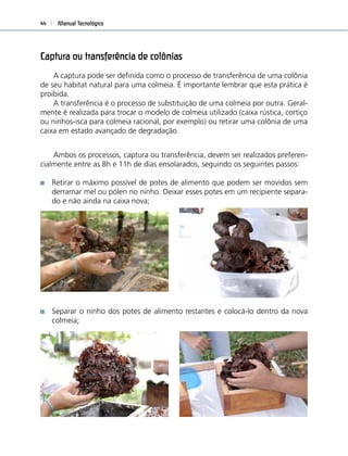 Manual Tecnológico44
Captura ou transferência de colônias
A captura pode ser deﬁnida como o processo de transferência de uma colônia
de seu habitat natural para uma colmeia. É importante lembrar que esta prática é
proibida.
A transferência é o processo de substituição de uma colmeia por outra. Geral-
mente é realizada para trocar o modelo de colmeia utilizado (caixa rústica, cortiço
ou ninhos-isca para colmeia racional, por exemplo) ou retirar uma colônia de uma
caixa em estado avançado de degradação.
Ambos os processos, captura ou transferência, devem ser realizados preferen-
cialmente entre as 8h e 11h de dias ensolarados, seguindo os seguintes passos:
Retirar o máximo possível de potes de alimento que podem ser movidos sem
derramar mel ou pólen no ninho. Deixar esses potes em um recipiente separa-
do e não ainda na caixa nova;
Separar o ninho dos potes de alimento restantes e colocá-lo dentro da nova
colmeia;
 