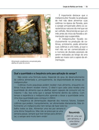 Criação de Abelhas sem Ferrão 55
Qual a quantidade e a frequência certa para aplicação do xarope?
Não existe uma fórmula exata. Depende do grau de desenvolvimento
da colônia alimentada e, principalmente, da disponibilidade de tempo do
meliponicultor.
Colônias muito populosas podem receber mais alimento, enquanto co-
lônias fracas devem receber menos. O ideal é que cada caixa receba uma
quantidade de alimento que as abelhas sejam capazes de consumir em no
máximo 1 dia. Isso evita que o xarope fermente dentro da colônia. Com
tempo e experiência o meliponicultor aprende a dosar a quantidade certa.
Uma boa quantidade para começar é 200ml.
A freqüência de alimentações depende dos mesmos fatores. Existem
colônias que podem, tranquilamente, ser alimentadas diariamente. Mas di-
ﬁcilmente um meliponicultor tem tempo de fazer este tra-
balho todos os dias. Alimentar uma vez por semana é
uma ótima frequência. Mas não se preocupe se uma
semana passar, sempre que tiver tempo para alimen-
tar, o xarope será muito bem vindo!
Resumindo
200 ml, uma vez
por semana, é
uma ótima
pedida!
Alimentação complementar armazenada pelas
abelhas em potes de cerume
É importante destacar que o
meliponicultor focado na produção
de mel não deve alimentar suas
colônias na época da ﬂorada, pois
o xarope armazenado altera as ca-
racterísticas naturais do mel que vai
ser colhido. Recomenda-se que um
mês antes do início da ﬂorada a ali-
mentação seja suspendida.
O meliponicultor focado ex-
clusivamente na produção de co-
lônias, entretanto, pode alimentar
suas colônias o ano todo, já que o
mel não vai ser comercializado e
o número de divisões possíveis de
serem realizadas ao longo do ano
pode ser maior com o apoio da ali-
mentação.
 