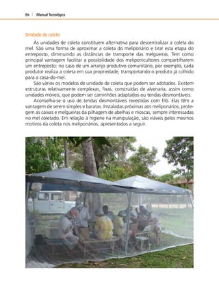 Manual Tecnológico64
Unidade de coleta
As unidades de coleta constituem alternativa para descentralizar a coleta do
mel. São uma forma de aproximar a coleta do meliponário e tirar esta etapa do
entreposto, diminuindo as distâncias de transporte das melgueiras. Tem como
principal vantagem facilitar a possibilidade dos meliponicultores compartilharem
um entreposto: no caso de um arranjo produtivo comunitário, por exemplo, cada
produtor realiza a coleta em sua propriedade, transportando o produto já colhido
para a casa-do-mel.
São vários os modelos de unidade de coleta que podem ser adotados. Existem
estruturas relativamente complexas, ﬁxas, construídas de alvenaria, assim como
unidades móveis, que podem ser caminhões adaptados ou tendas desmontáveis.
Aconselha-se o uso de tendas desmontáveis revestidas com ﬁló. Elas têm a
vantagem de serem simples e baratas. Instaladas próximas aos meliponários, prote-
gem as caixas e melgueiras da pilhagem de abelhas e moscas, sempre interessadas
no mel coletado. Em relação à higiene na manipulação, são viáveis pelos mesmos
motivos da coleta nos meliponários, apresentados a seguir.
 