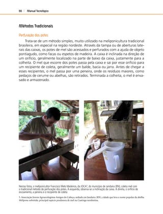 Manual Tecnológico66
Métodos Tradicionais
Perfuração dos potes
Trata-se de um método simples, muito utilizado na meliponicultura tradicional
brasileira, em especial na região nordeste. Através da tampa ou de aberturas late-
rais das caixas, os potes de mel são acessados e perfurados com a ajuda de objeto
pontiagudo, como facas ou espetos de madeira. A caixa é inclinada na direção de
um orifício, geralmente localizado na parte de baixo da caixa, justamente para a
colheita. O mel que escorre dos potes passa pela caixa e sai por esse orifício para
um recipiente de coleta, geralmente um balde, bacia ou jarra. Antes de chegar a
esses recipientes, o mel passa por uma peneira, onde os resíduos maiores, como
pedaços de cerume ou abelhas, são retirados. Terminada a colheita, o mel é enva-
sado e armazenado.
Nestas fotos, o meliponicultor Francisco Melo Medeiros, da JOCA5
, do município de Jandaíra (RN), coleta mel com
o tradicional método de perfuração dos potes. À esquerda, observa-se a inclinação da caixa. À direita, o orifício de
escoamento, a peneira e o recipiente de coleta
5. Associação Jovens Agroecologistas Amigos do Cabeço, sediada em Jandaíra (RN), cidade que leva o nome popular da abelha
Melipona subnitida, principal espécie produtora de mel na Caatinga nordestina.
 