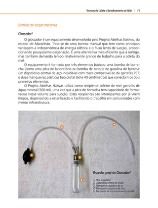 Técnicas de Coleta e Beneﬁciamento de Mel 71
Bombas de sucção mecânica
Glossador®
O glossador é um equipamento desenvolvido pelo Projeto Abelhas Nativas, do
estado do Maranhão. Trata-se de uma bomba manual que tem como principais
vantagens a independência de energia elétrica e o ﬂuxo lento de sucção, propor-
cionando pouquíssima oxigenação. É uma alternativa mais eﬁciente que a seringa,
mas também demanda tempo relativamente grande de trabalho para a coleta do
mel.
O equipamento é formado por três elementos básicos: uma bomba de borra-
cha (como uma pêra de laboratório ou bomba de tanque de gasolina de barcos);
um dispositivo central de aço inoxidável com rosca compatível ao de garrafas PET;
e duas mangueiras plásticas tipo cristal (60 e 40 centímetros) que conectam os dois
primeiros elementos.
O Projeto Abelhas Nativas utiliza como recipiente coletor de mel garrafas de
água mineral (500 ml), uma vez que a pêra de borracha tem capacidade de formar
vácuo nesse volume para sucção. Estes recipientes são interessantes por já virem
limpos, dispensando a esterilização e facilitando o trabalho em comunidades com
menos infraestrutura.
Aspecto geral do Glossador®
1) Pêra sugadora;
2) Dispositivo central de INOX;
3) Mangueira sugadora de ar;
4) Mangueira sugadora de mel;
5) Recipiente de armazenamento de mel.
1
2
3
5
4
 