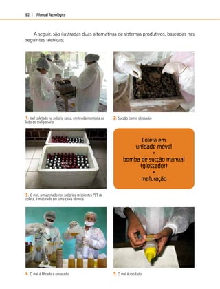 Manual Tecnológico82
Coleta em
unidade móvel
+
bomba de sucção manual
(glossador)
+
maturação
3. O mel, armazenado nos próprios recipientes PET de
coleta, é maturado em uma caixa térmica
1. Mel coletado na própria caixa, em tenda montada ao
lado do meliponário
2. Sucção com o glossador
4. O mel é ﬁltrado e envasado 5. O mel é rotulado
A seguir, são ilustradas duas alternativas de sistemas produtivos, baseadas nas
seguintes técnicas:
 
