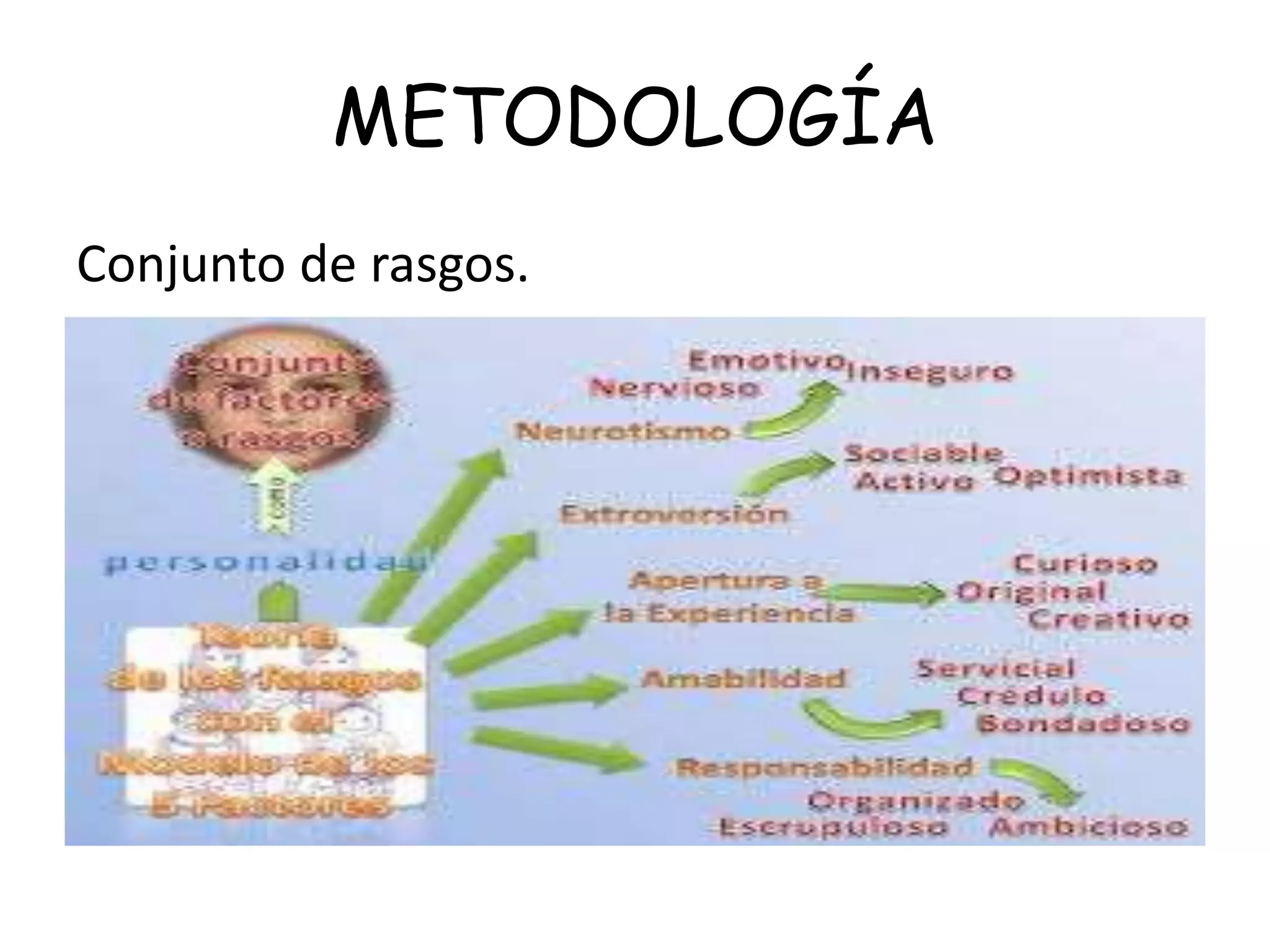METODOLOGÍA
Conjunto de rasgos.
 