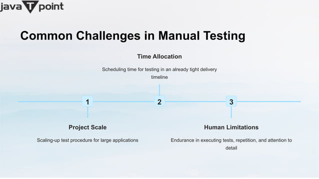 What is manual Testing? | PPT