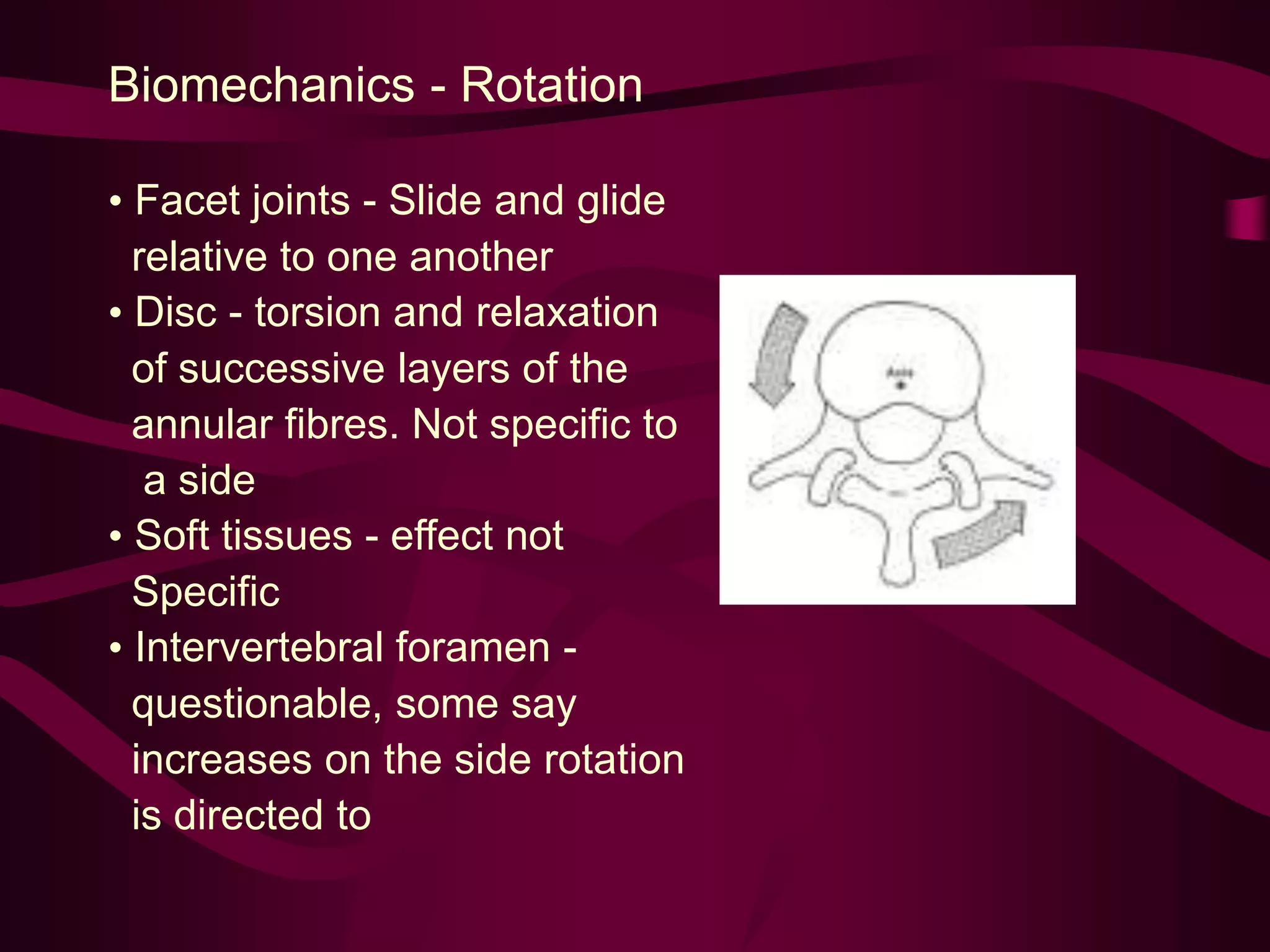 Biomechanics - Rotation
• Facet joints - Slide and glide
relative to one another
• Disc - torsion and relaxation
of successive layers of the
annular fibres. Not specific to
a side
• Soft tissues - effect not
Specific
• Intervertebral foramen -
questionable, some say
increases on the side rotation
is directed to
 