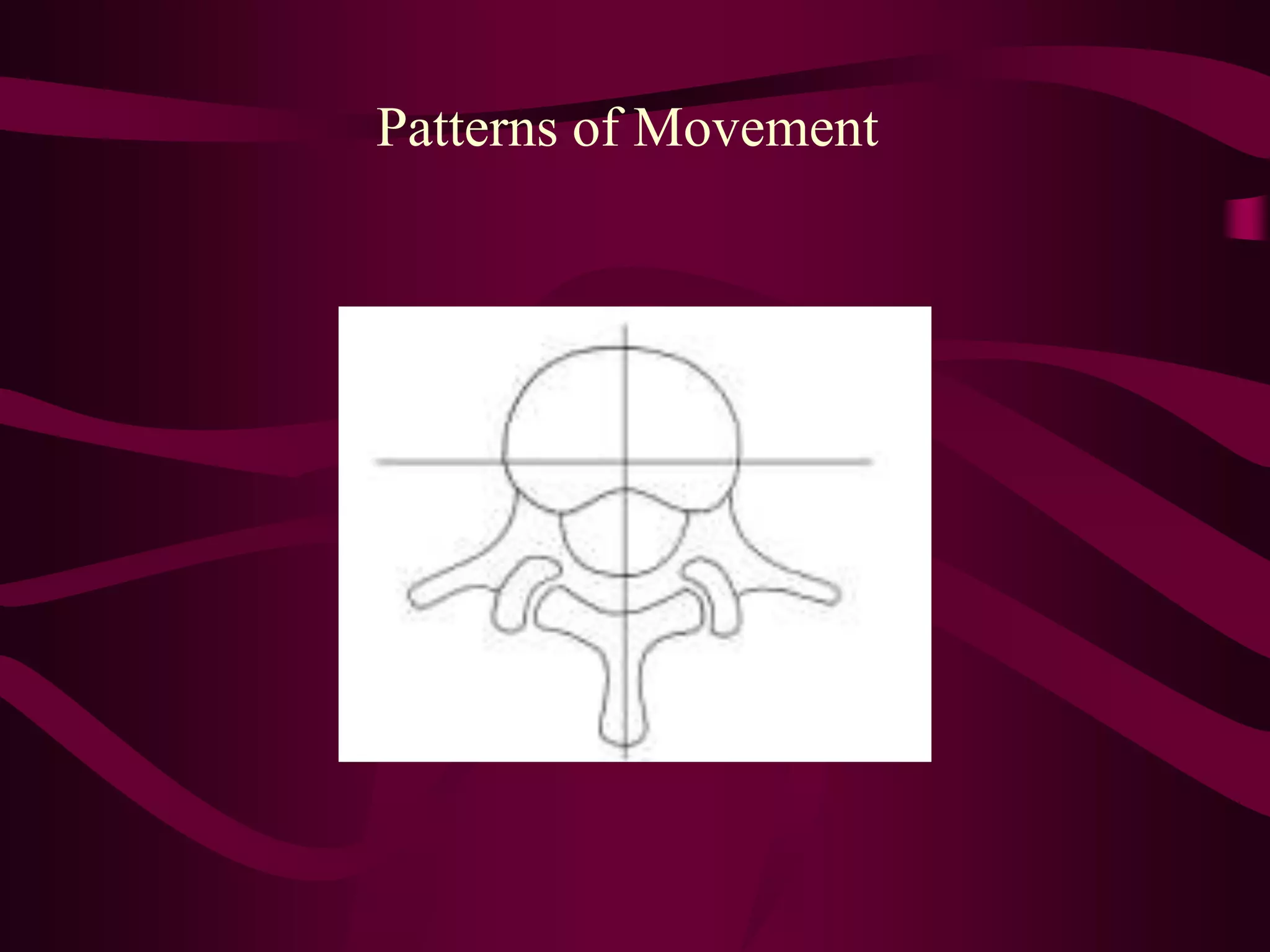 Patterns of Movement
 