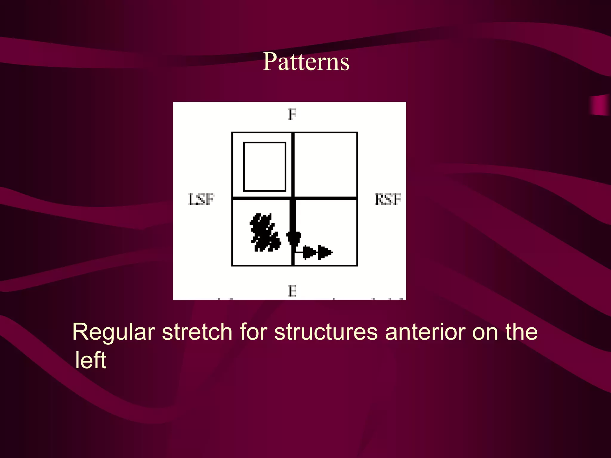 Patterns
Regular stretch for structures anterior on the
left
 