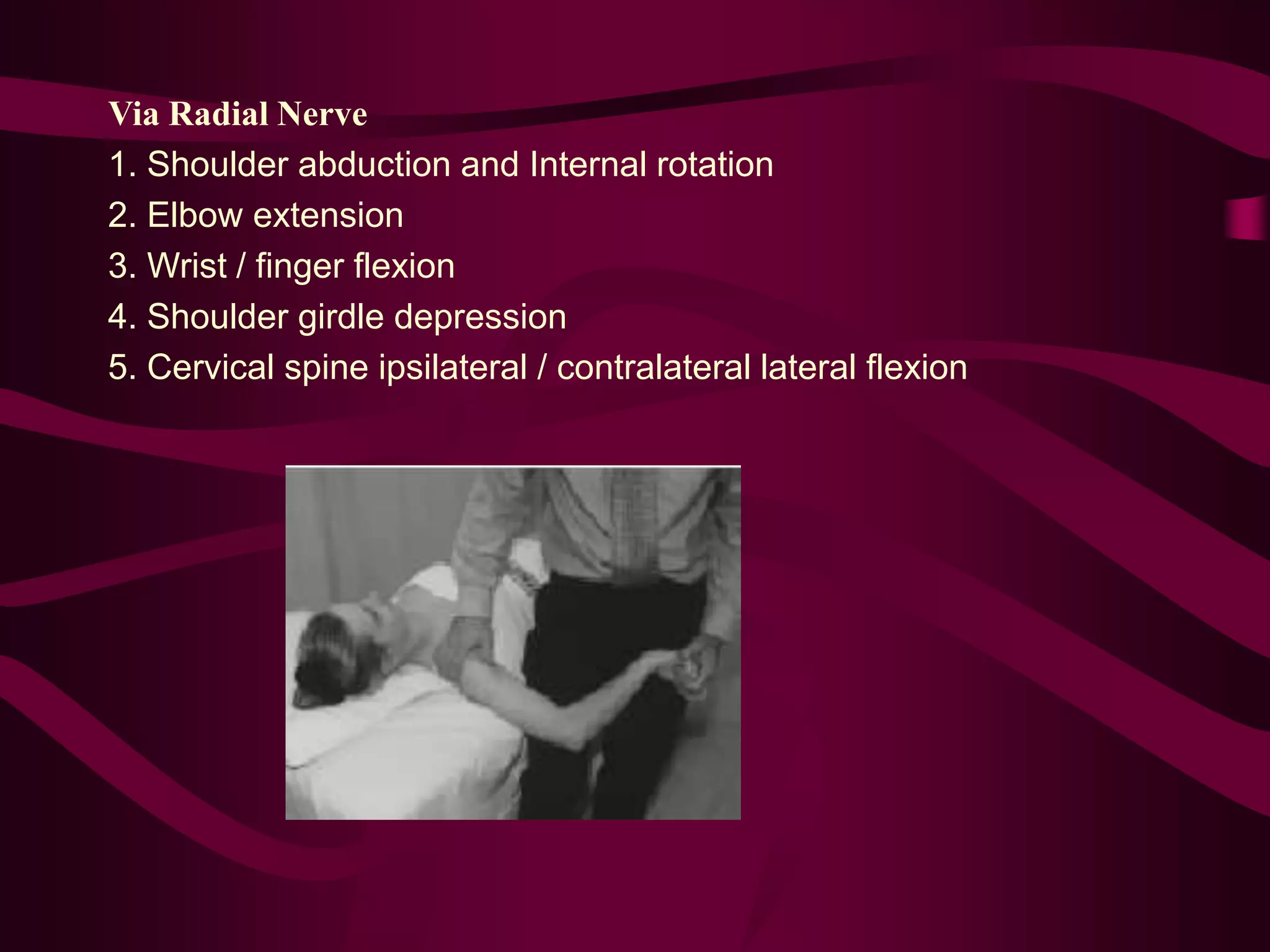 Via Radial Nerve
1. Shoulder abduction and Internal rotation
2. Elbow extension
3. Wrist / finger flexion
4. Shoulder girdle depression
5. Cervical spine ipsilateral / contralateral lateral flexion
 