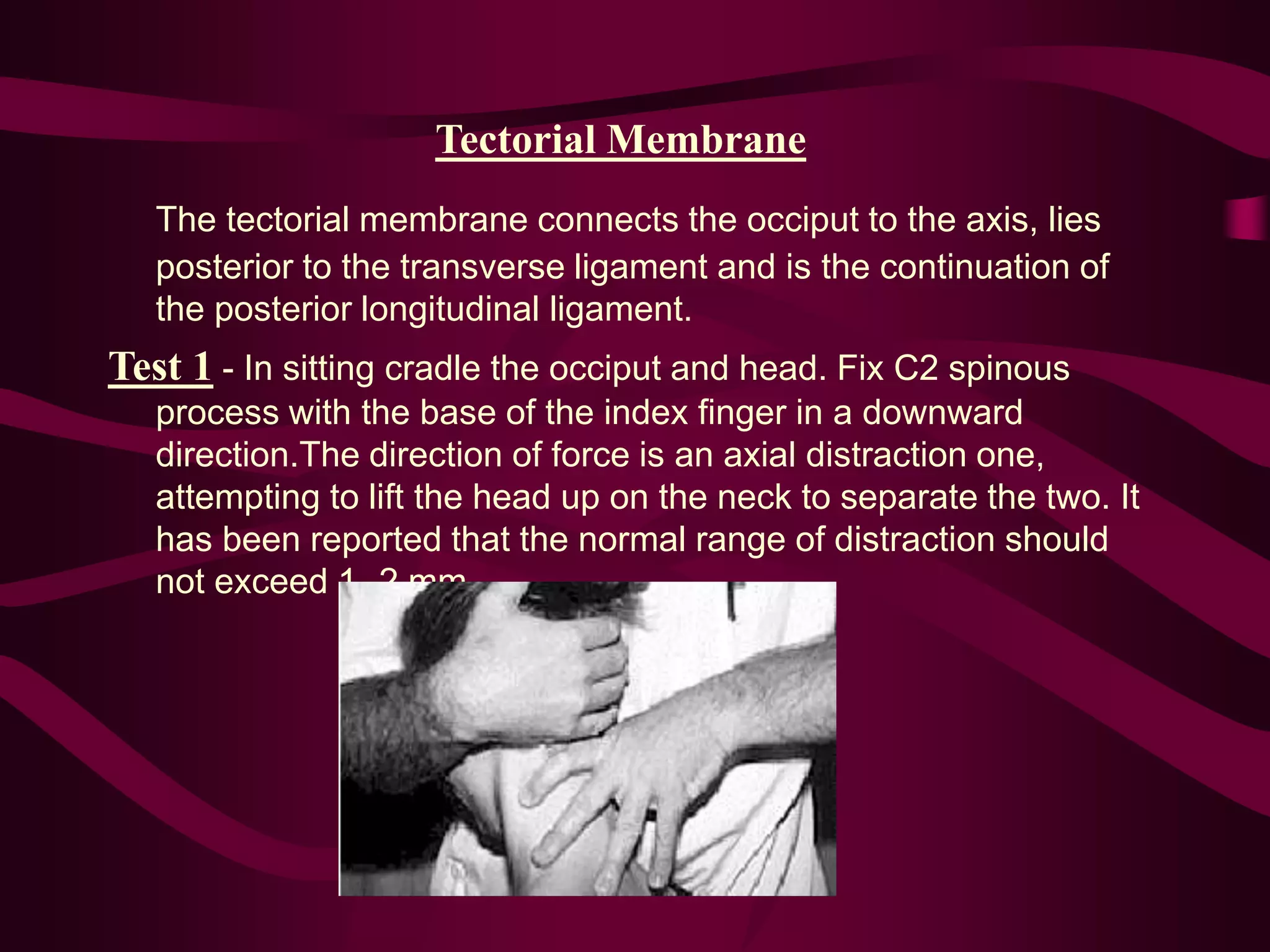 Tectorial Membrane
The tectorial membrane connects the occiput to the axis, lies
posterior to the transverse ligament and is the continuation of
the posterior longitudinal ligament.
Test 1 - In sitting cradle the occiput and head. Fix C2 spinous
process with the base of the index finger in a downward
direction.The direction of force is an axial distraction one,
attempting to lift the head up on the neck to separate the two. It
has been reported that the normal range of distraction should
not exceed 1 -2 mm.
 
