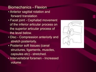 Biomechanics - Flexion
• Anterior sagittal rotation and
forward translation
• Facet joint - Cephalad movement
of the inferior articular process on
the superior articular process of
the level below.
• Disc - Compression anteriorly and
stretch posteriorly.
• Posterior soft tissues (canal
structures, ligaments, muscles,
capsules etc) - stretched.
• Intervertebral foramen - Increased
volume
 
