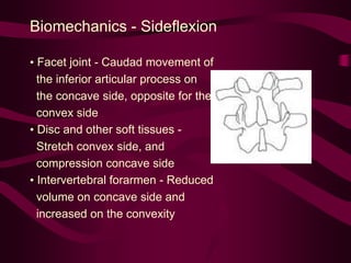 Biomechanics - Sideflexion
• Facet joint - Caudad movement of
the inferior articular process on
the concave side, opposite for the
convex side
• Disc and other soft tissues -
Stretch convex side, and
compression concave side
• Intervertebral forarmen - Reduced
volume on concave side and
increased on the convexity
 