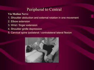 Peripheral to Central
Via Median Nerve
1. Shoulder abduction and external rotation in one movement
2. Elbow extension
3. Wrist / finger extension
4. Shoulder girdle depression
5. Cervical spine ipsilateral / contralateral lateral flexion
 