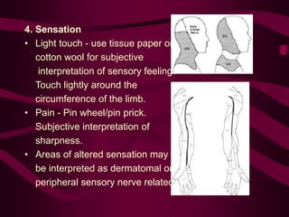 4. Sensation
• Light touch - use tissue paper or
cotton wool for subjective
interpretation of sensory feeling.
Touch lightly around the
circumference of the limb.
• Pain - Pin wheel/pin prick.
Subjective interpretation of
sharpness.
• Areas of altered sensation may
be interpreted as dermatomal or
peripheral sensory nerve related.
 