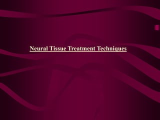 Neural Tissue Treatment Techniques
 