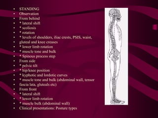 • STANDING
• Observation
• From behind
• * lateral shift
• * scoliosis
• * rotation
• * levels of shoulders, iliac crests, PSIS, waist,
• gluteal and knee creases
• * lower limb rotation
• * muscle tone and bulk
• * Spinous process step
• From side
• * pelvic tilt
• * hip/knee position
• * kyphotic and lordotic curves
• * muscle tone and bulk (abdominal wall, tensor
• fascia lata, gluteals etc)
• From front
• * lateral shift
• * lower limb rotation
• * muscle bulk (abdominal wall)
• Clinical presentations: Posture types
 