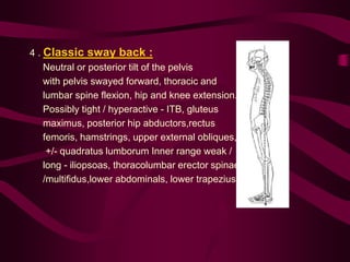 4 . Classic sway back :
Neutral or posterior tilt of the pelvis
with pelvis swayed forward, thoracic and
lumbar spine flexion, hip and knee extension.
Possibly tight / hyperactive - ITB, gluteus
maximus, posterior hip abductors,rectus
femoris, hamstrings, upper external obliques,
+/- quadratus lumborum Inner range weak /
long - iliopsoas, thoracolumbar erector spinae
/multifidus,lower abdominals, lower trapezius.
 