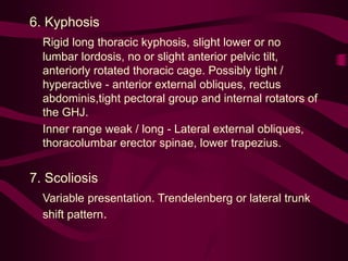6. Kyphosis
Rigid long thoracic kyphosis, slight lower or no
lumbar lordosis, no or slight anterior pelvic tilt,
anteriorly rotated thoracic cage. Possibly tight /
hyperactive - anterior external obliques, rectus
abdominis,tight pectoral group and internal rotators of
the GHJ.
Inner range weak / long - Lateral external obliques,
thoracolumbar erector spinae, lower trapezius.
7. Scoliosis
Variable presentation. Trendelenberg or lateral trunk
shift pattern.
 