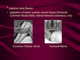 * passive neck flexion
• palpation of lower quarter neural tissue (Femoral,
Common fibular,tibial, lateral femoral cutaneous, etc)
Common Fibular nerve Femoral Nerve
 