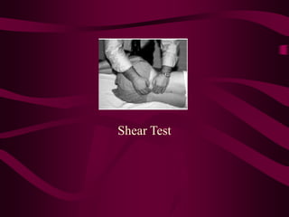 Shear Test
 