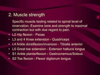 2. Muscle strength
Specific muscle testing related to spinal level of
innervation. Examine tone and strength to maximal
contraction but with due regard to pain.
• L2 Hip flexion - Psoas
• L3 and 4 Knee extension - Quadriceps
• L4 Ankle dorsiflexion/inversion - Tibialis anterior
• L5 Great toe extension - Extensor hallucis longus
• S1 Ankle plantarflexion - Gastrocnemius/Soleus
• S2 Toe flexion - Flexor digitorum longus
 