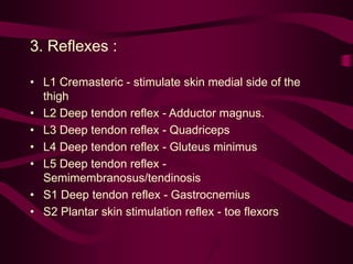 3. Reflexes :
• L1 Cremasteric - stimulate skin medial side of the
thigh
• L2 Deep tendon reflex - Adductor magnus.
• L3 Deep tendon reflex - Quadriceps
• L4 Deep tendon reflex - Gluteus minimus
• L5 Deep tendon reflex -
Semimembranosus/tendinosis
• S1 Deep tendon reflex - Gastrocnemius
• S2 Plantar skin stimulation reflex - toe flexors
 