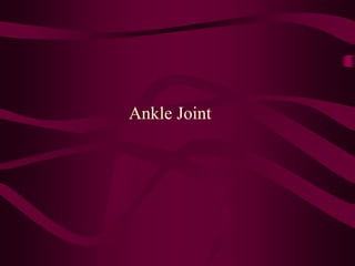 Ankle Joint
 