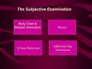 The Subjective Examination
Body Chart &
Related Information History
24 hour Behaviour
Additional flag
Information
 