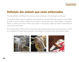 24
BoasPráticasdeManejo
TRANSPORTE
Definição dos animais que serão embarcados
A responsabilidade pela definição dos animais que serão embarcados é do encarregado do embarque.
Os motoristas devem monitorar o embarque, recomendando que não sejam embarcados animais em más condições
de saúde ou que não tenham condições de se manterem em pé durante toda a viagem (devido a machucados,
fraturas, ou animais muito fracos). Animais cegos podem ser transportados, desde que estejam acompanhados de
outros, que possam enxergar.
Os motoristas devem também orientar os responsáveis pelo embarque para que não arrastem animais para o interior
do compartimento de carga. Esse procedimento causa sofrimento aos animais e muitas vezes ferimentos graves.
EVITE EMBARCAR ANIMAIS EM MÁS CONDIÇÕES DE SAÚDE OU MUITO FRACOS
 